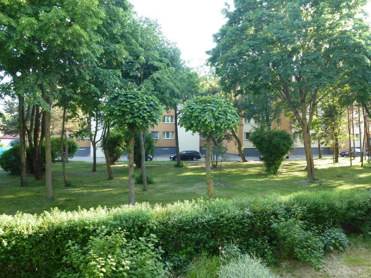Studio Apartment "Balta" Palanga Bagian luar foto